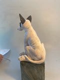 Bullie on a box