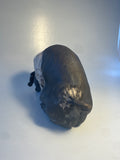 Snuffling saddleback