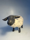 Standing ewe