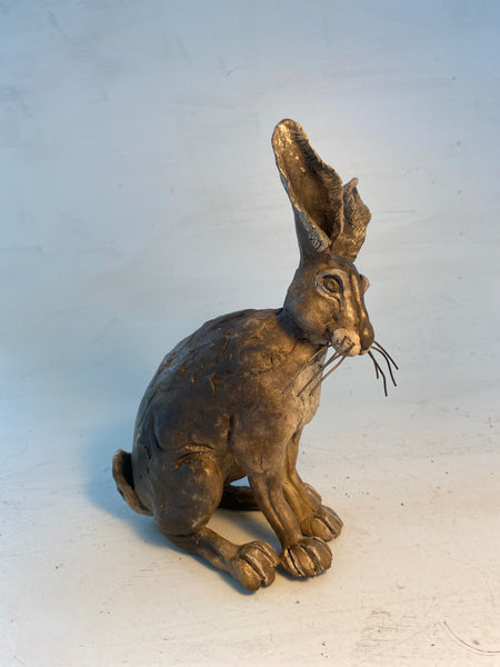 Listening hare