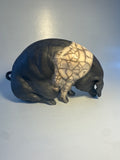 Snuffling saddleback