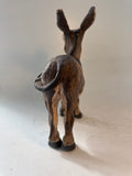 Braying donkey