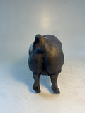 Saddleback sow