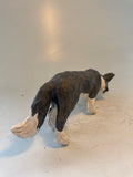 Working collie