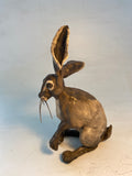 Happy hare