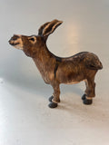 Braying donkey