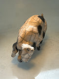 Gloucester old spot sow