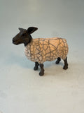 Alert sheep