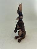 Watching hare