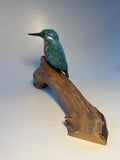 Kingfisher on branch