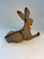 Resting donkey