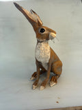 Bargain hare