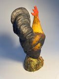 Cockerel