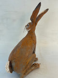 Bargain hare