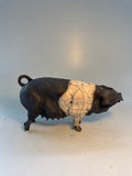 Saddleback sow