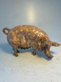 Turning coloured sow