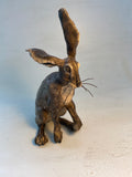 Happy hare