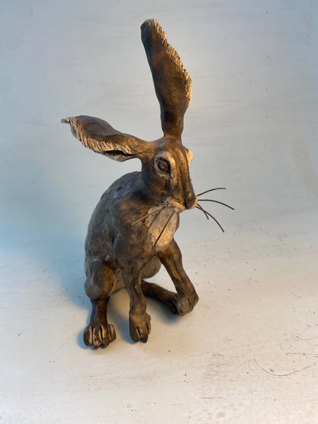 Happy hare