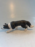 Working collie