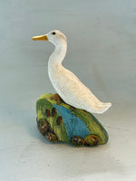 White duck in the bulrushes