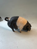 Saddleback sow