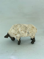 Small grazing sheep( second)