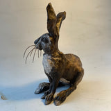 Listening hare