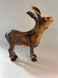 Braying donkey