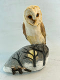 Owl on frosty hill