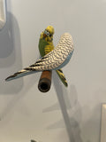 Bubbles and sweak on a their perch