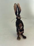 Watching hare
