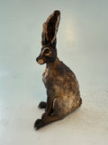 Spring hare