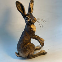 Alert Hare