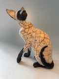 Sitting Siamese