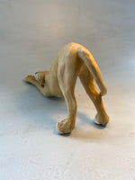 Stretching hound