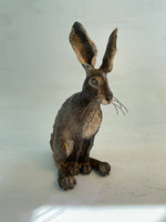 Pondering hare