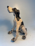 Large sitting hound