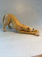Stretching hound