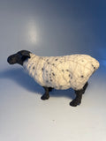 Standing ewe