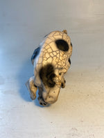 Medium old spot sow
