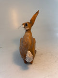 Startled hare