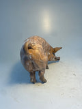Turning coloured sow