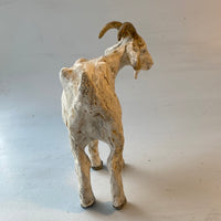 Pale goat