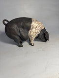 Saddleback sow