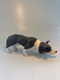 Working collie