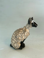 Sitting siamese