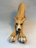 Stretching hound