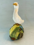 White duck in the bulrushes