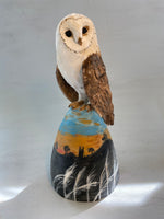 Barn owl on windy hill