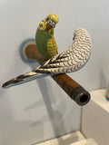 Bubbles and sweak on a their perch